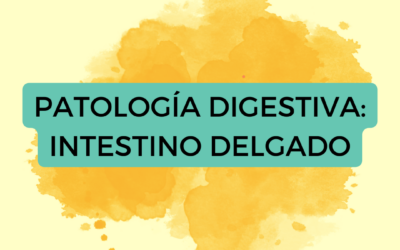 Patología digestiva: intestino delgado