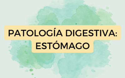 Patología digestiva: Estómago